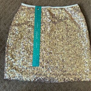 Pick 2 for $15 
Rose gold sequin miniskirt.
